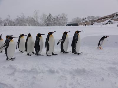 t*7様 新作　旭山動物園-寒風山展望台2種-和歌山電鉄4種コンプ＋ゴタマ記念メ 鉄道コレクション 和歌山電鐵 2270系 おかでんチャギントン