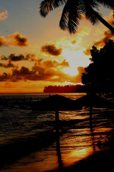 フィジー −蒼と碧が溶けあう南太平洋の楽園− 番外編　Memories of Fiji