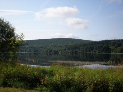 ｲｷﾞﾘｽ ｶｰﾃﾞｨﾌ ﾌﾞﾚｺﾝ・ﾋﾞｰｺﾝｽﾞ国立公園ﾄﾞﾗｲﾌﾞ