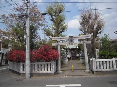 相模平塚　秀忠に将軍職を譲り駿府に移った家康が鷹狩で中原御殿を往還する際の休息所地とした事に従者が報恩を持って祭り発展した『八王子神社』散歩