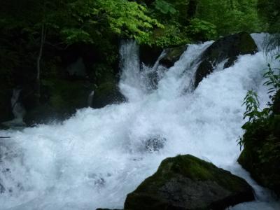 五能線と奥入瀬渓流