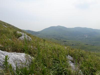 平尾台を歩く