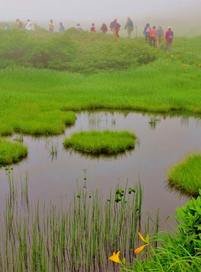 月山a 月山湖畔～八合目～山頂登山口　☆弥陀ヶ原湿原は霧もよう