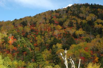 2009年・秋の軽井沢、ちょこっと志賀高原の旅