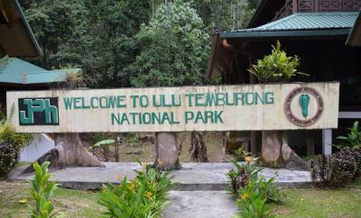 Ｕｌｕ　Ｔｅｍｂｕｒｏｎｇ　Ｎａｔｉｏｎａｌ　Ｐａｒｋ　３泊４日ツアー