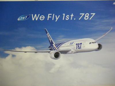 ANA B787　宮崎線。