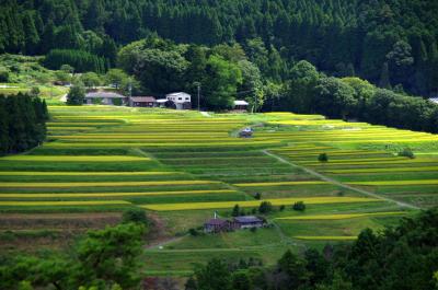 日本の原風景を求めて～京都越畑・樒原の棚田へ　Part２