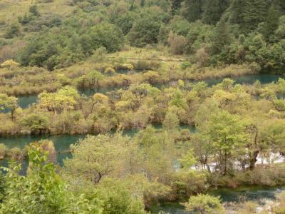 九寨溝・黄龍個人旅行　３日目九寨溝