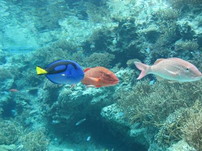 秋休みに沖縄♪小学生の子と行く家族旅行♪４日目
