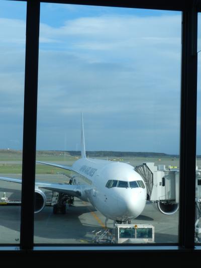 帰路（新千歳→関空）＆お土産◆2012年5月は北海道へ花見に行こう！【その１１・最終章】