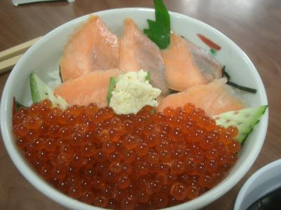 今日のランチは阿寒湖畔で「わかさぎ丼」と「シャケとイクラの親子丼」。