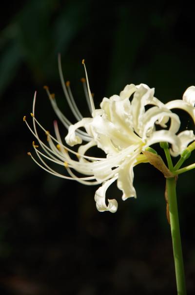 金沢女子旅♪ 行きたいとこ全部まるごと1日巡り!