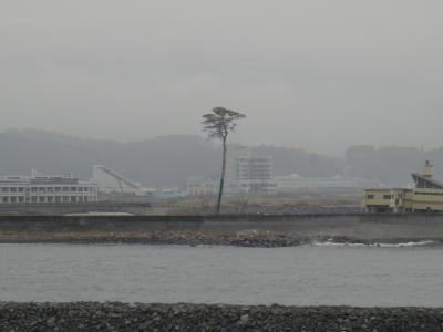 東日本大震災から１年、被災地をめぐる旅　～宮城、岩手～