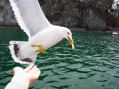 120428-30東北旅行：温泉＋被災地を訪れる【3】