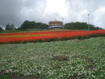 「はな・てんと」でカラフルな花々を愛でる。これで，北海道ともお別れです。