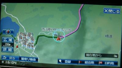 ♪ 12年10月06日(土) 西湖野鳥の森公園 再び、、、【写真ULほぼ完了】