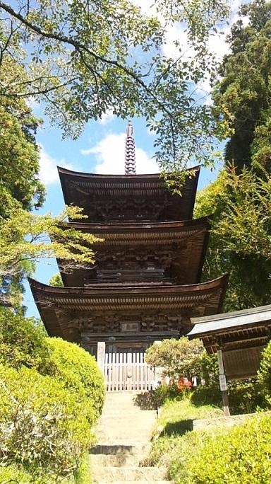 どこへ行っても麺が主食♪第９弾　長野の旅《１日目前半～安楽寺・大宝寺とラーメン編》