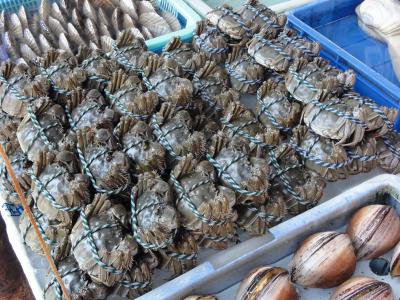 こんな時期ですが今年も澳門で上海蟹と珠海でも上海蟹(バッタ物)