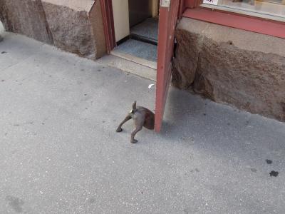 北欧街歩き5日目 フィンランド ヘルシンキ