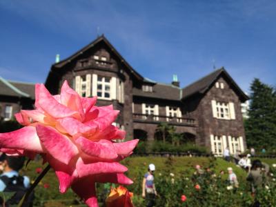 フラッと旧古河庭園(2回目)