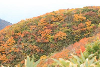 赤兎山（2012年10月13日避難小屋付近の紅葉は見ごろです）