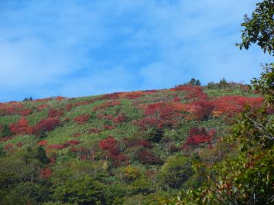 大自然の紅葉満喫☆岐阜の名山　川上岳☆