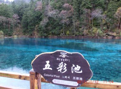 九寨溝・黄龍　成都発現地ツアー