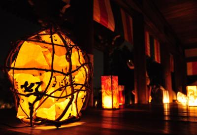 ４ＴＲの皆さんとコスモス巡り　般若寺コスモス花あかり＆柳生の里のほほん記