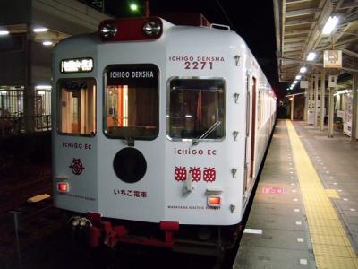 貴志川線のラッピング電車