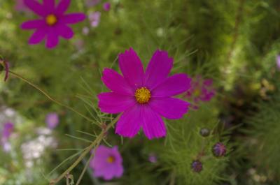 パキスタン~中国西域 カラコルム・ハイウェイの旅 4 6日目
