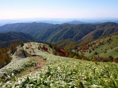 紅葉のパッチワーク　大川入山に登る♪