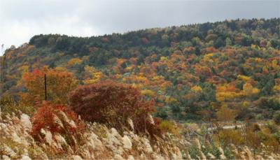 2012年紅葉を探す1泊  磐梯吾妻スカイライン～毘沙門沼編