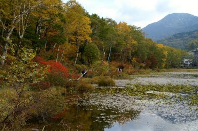 信州の紅葉と美食の旅！！　クラシックリゾート「赤倉観光ホテル」に連泊して「栂池・志賀高原」の紅葉狩り