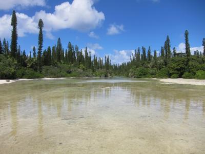 GW前の那須高原みたい！？な穴場リゾート　ニューカレドニア旅行記２０１２年９月の旅