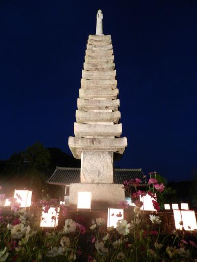 カレーと秋桜のミニオフ会≪般若寺のコスモスライトアップ編≫