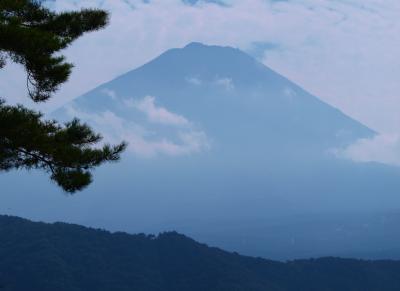 西湖いやしの里　根場　秋　冨士山　コスモス
