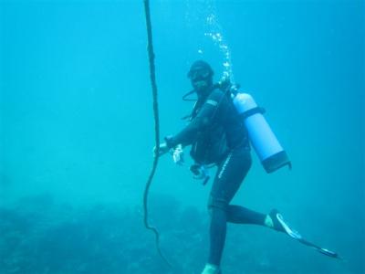 まさかの!!マニラで ダイビング