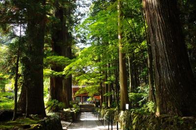 錦秋の千畳敷カール【２】～思いがけず訪れた光前寺～