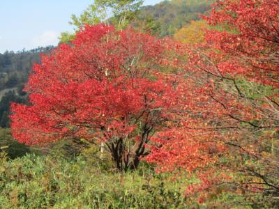 山田温泉と笠岳（２）