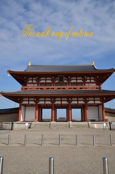 深まる秋、広がる碧空・・・秋の散歩道 ｉｎ　Ｎａｒａ