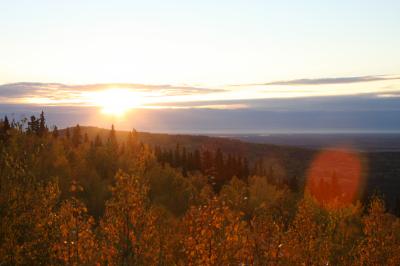 グリズリーとオーロラのアラスカ⑥
