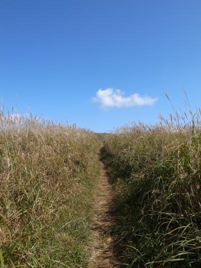 福智山・鷹取山に登ってみよう。