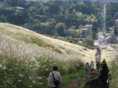 ススキ草原を見て、温泉に入りたいの！秋満喫箱根旅♪