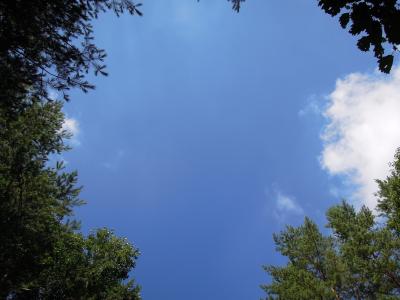 やっぱり軽井沢って避暑地だね。