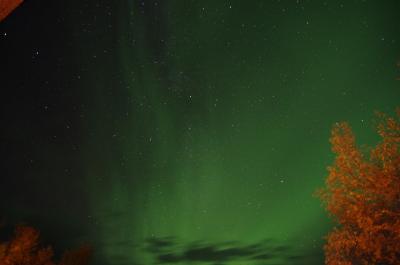 何回オーロラ見れば気が済むの？２　（ロバニエミ　―　アビスコ初日編）