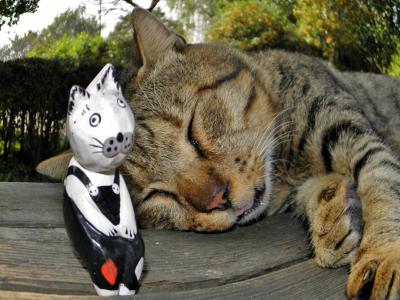 彩湖・道満グリーンパーク 猫たび④