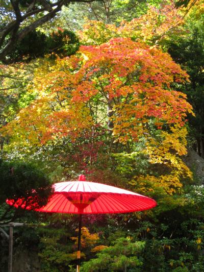 札幌のかくれ紅葉スポット【紅桜公園】