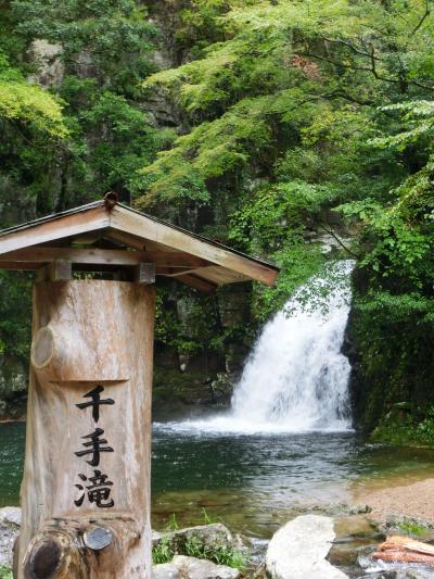 貸し切り♪　赤目四十八滝