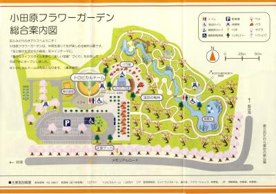 歌声バスで観梅に