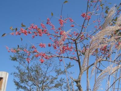 チョコット　　赤城山へ